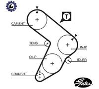 GATES 5087 Timing Belt for FIAT
