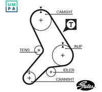 TIMING BELT 5180 FOR ALFA ROMEO FIAT BRAVO TIPO BRAVA TEMPRA/SW/S.W. LANCIA