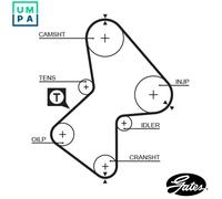 TIMING BELT 5212XS FOR VOLVO D 4192 T 1.9L 4cyl V40