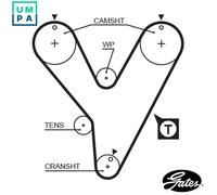 Timing belt 5228XS GATES for MITSUBISHI CHRYSLER HYUNDAI DODGE PLYMOUTH