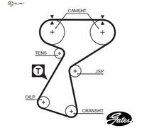 GATES 5244XS Timing Belt