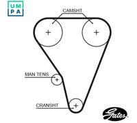 GATES 5289XS Timing Belt