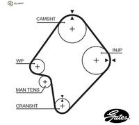 GATES 5300XS Timing Belt