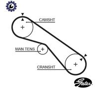 Timing belt 5321XS GATES for TOYOTA LAND CRUISER 80 LAND CRUISER