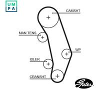 GATES 5346XS Timing Belt