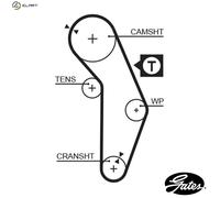 GATES 5350XS Timing Belt