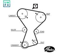 GATES 5375XS Timing Belt