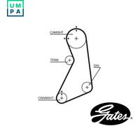 TIMING BELT 5399XS FOR VW GOLF/III/Van PASSAT/B3/B4 SEAT IBIZAIICORDOBA 2.0L