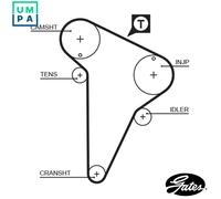 GATES 5420XS Timing Belt