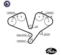 GATES 5442XS Timing Belt