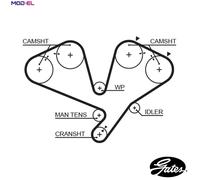 GATES 5442XS Timing Belt