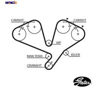GATES 5442XS Timing Belt