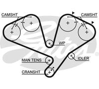 GATES 5442XS Timing Belt