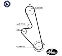 GATES 5449 Timing Belt