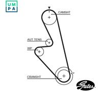 GATES 5449 Timing Belt