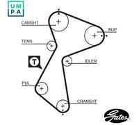 GATES 5485XS Timing Belt