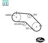 TIMING BELT 5504XS FOR NISSAN SENTRA/TSUBAME/III/Traveller PRIMERA/Break 2.0L