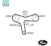 GATES 5515XS Timing Belt