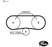 Timing belt 5516XS GATES for VW SKODA SEAT AUDI