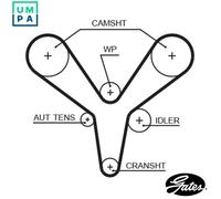 GATES 5527XS Timing Belt