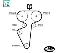 GATES 5539 Timing Belt