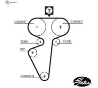 GATES 5539 Timing Belt