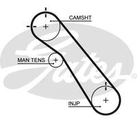 GATES 5548XS Timing Belt