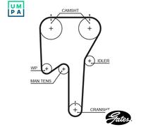 GATES 5553XS Timing Belt