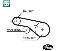 TIMING BELT 5570XS FOR HYUNDAI GRAND/H-1/STAREX/Travel/II SATELLITE/Bus H1 2.0L