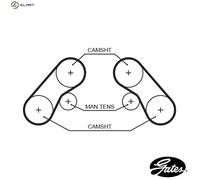 GATES 5576XS Timing Belt