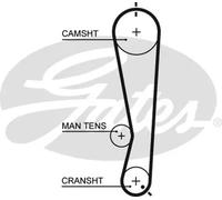 GATES 5591XS Timing Belt