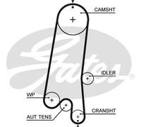 GATES 5597XS Timing Belt