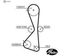 GATES 5609XS Timing Belt