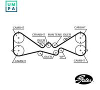 Timing belt 5612XS GATES for SUBARU IMPREZA Saloon FORESTER IMPREZA Estate