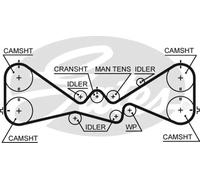 Timing belt 5612XS GATES for SUBARU IMPREZA Saloon FORESTER IMPREZA Estate
