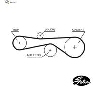TIMING BELT 5614XS FOR VW AUDI A4/S4/Convertible A5/S5 A6/Allroad Q7/Van/SUV A4