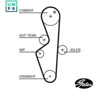GATES 5617XS Timing Belt