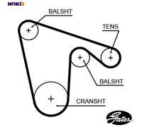 TIMING BELT 5619XS FOR ALFA ROMEO LANCIA DELTA/II/Mk LYBRA/SW DEDRA 2.0L 4cyl