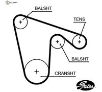 GATES 5619XS Timing Belt