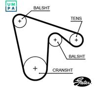 GATES 5619XS Timing Belt