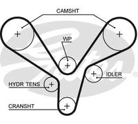 GATES 5636XS Timing Belt