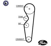 Gates 5665XS Timing Belt