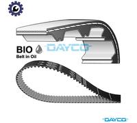 TIMING BELT 941163 FOR FORD KA+/III FOCUS/IV/Turnier Y2DA 1.5L C12FDOS 1.2L