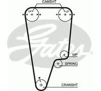 TIMING BELT CAMBELT GATES OE QUALITY REPLACEMENT 5505XS