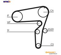 TIMING BELT CT1076 FOR ALFA ROMEO FIAT STILO/VAN/Multi/Wagon LANCIA 1.9L 5cyl