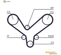 Timing Belt for KIA CARNIVAL LOTZE CONTINENTAL CTAM CT1175