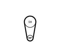 CONTITECH CT1248 Timing Belt