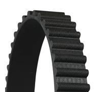 CONTITECH CT555 Timing Belt
