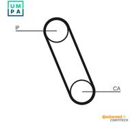 CONTITECH CT561 Timing Belt
