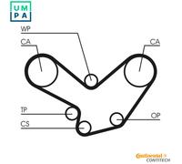CONTITECH CT584 Timing Belt
